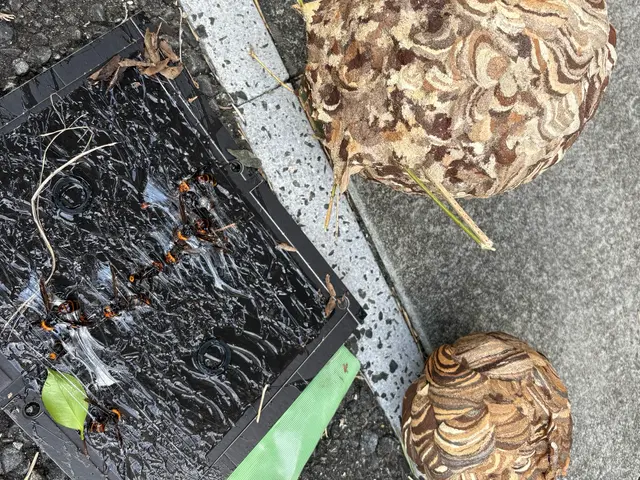 全作業自社対応！時間外・対応地域外もご相談可能な害虫・蜂の巣駆除サービスサービスの画像