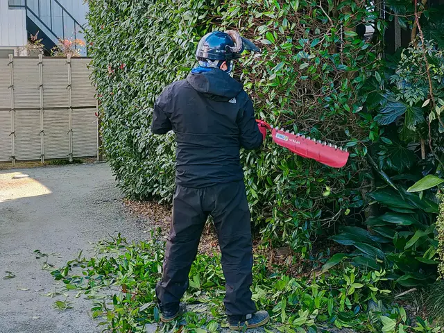 低木も高木も私にお任せください！！ 職人歴15年以上あり！！サービスの画像