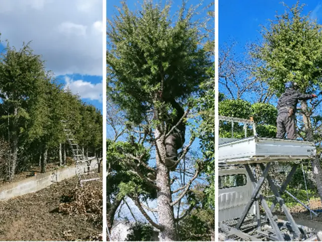 低木も高木も私にお任せください！！ 職人歴15年以上あり！！サービスの画像