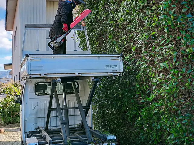 低木も高木も私にお任せください！！ 職人歴15年以上あり！！サービスの画像