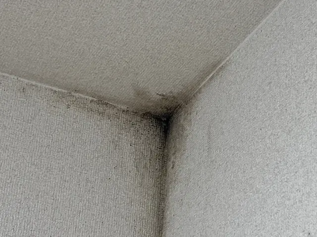 《納得価格》トコジラミよりしつこい僕が徹底的に追い込みます。サービスの画像