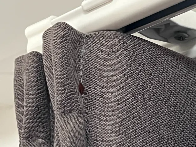 《納得価格》トコジラミよりしつこい僕が徹底的に追い込みます。サービスの画像