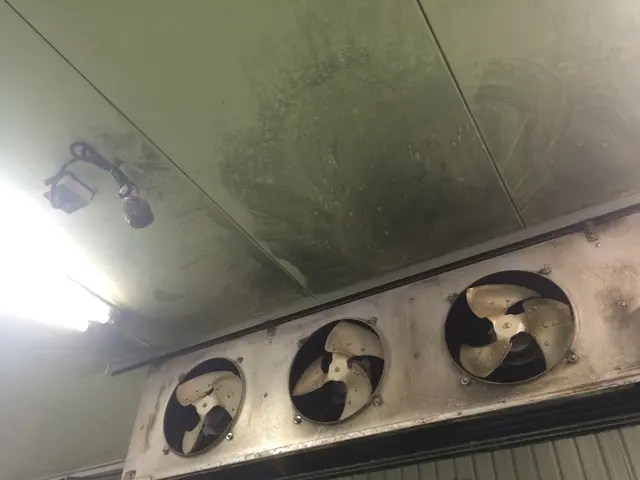 ◎換気扇プロペラ◎サービスの画像