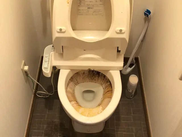 ☆徹底クリーニング☆サービスの画像