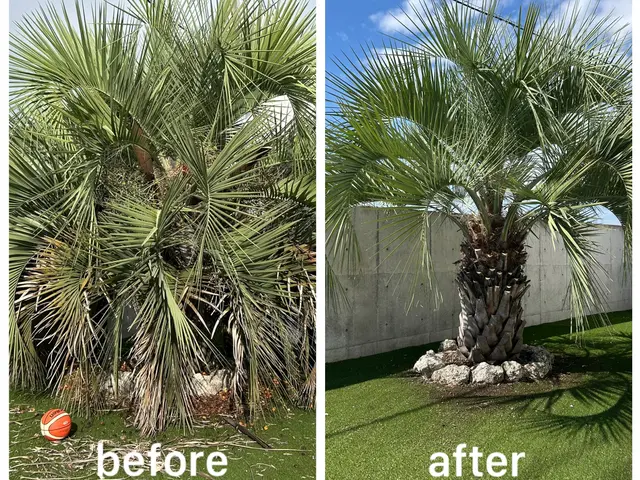 【夫婦でお伺い可能◎】ご予算もお気軽にご相談下さい！迅速丁寧がモットーですサービスの画像