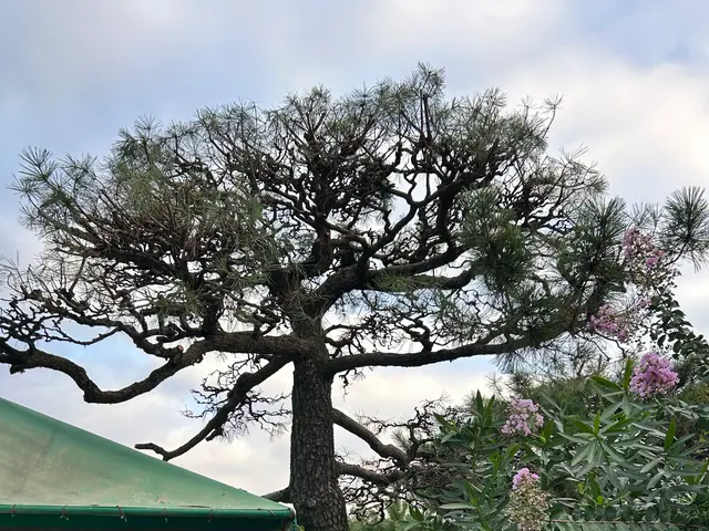 【夫婦でお伺い可能◎】ご予算もお気軽にご相談下さい！迅速丁寧がモットーですサービスの画像