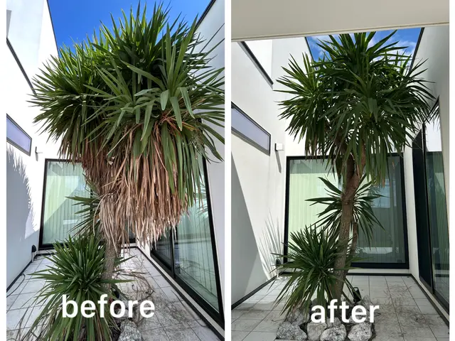 【夫婦でお伺い可能◎】ご予算もお気軽にご相談下さい！迅速丁寧がモットーですサービスの画像