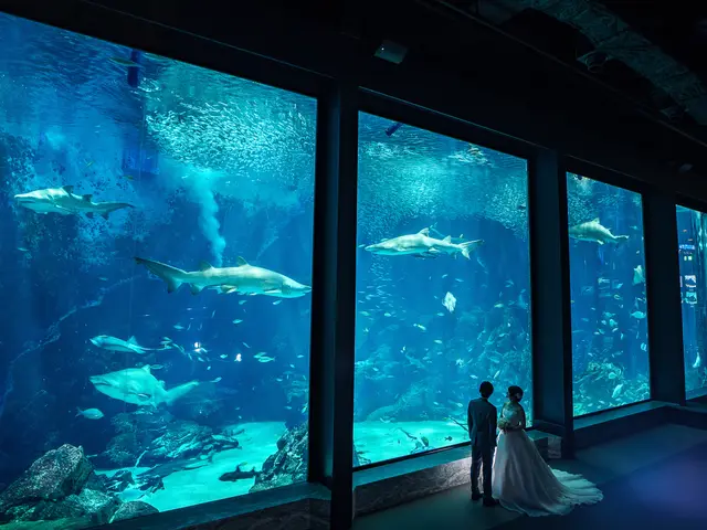 プロの技術でご満足いただけるように心を込めて撮影いたします