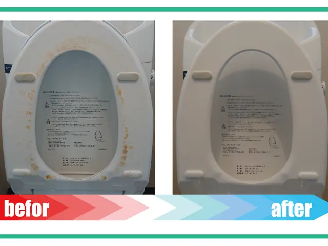 【天然由来のエコ洗剤】お子様やペットにやさしく安全◎ハウスクリーニング士◎サービスの画像