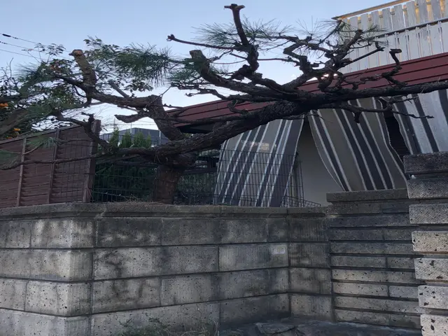 庭木の剪定ならパーソナルサービスにお任せください!!サービスの画像