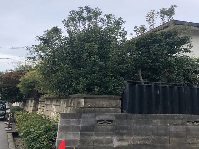 庭木の剪定ならパーソナルサービスにお任せください!!サービスの画像