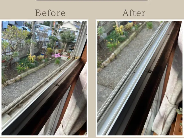 【年末大掃除早割キャンペーン中】窓拭き・サッシ掃除サービスの画像