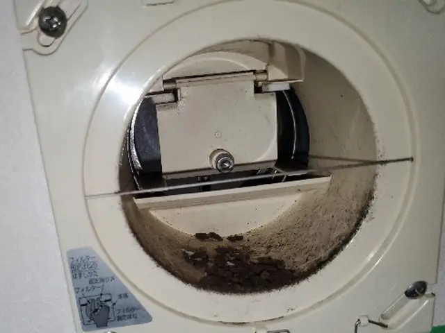 多様な箇所のコウモリ被害に対応致します！作業外注一切なし、施工実績多数！サービスの画像