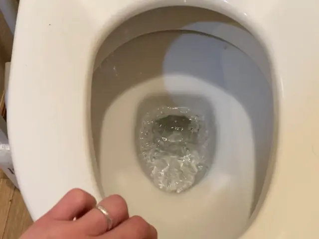 【損害保険加入で安心◎】大手フランチャイズに加盟プロのサービスで納得の仕上がりにサービスの画像