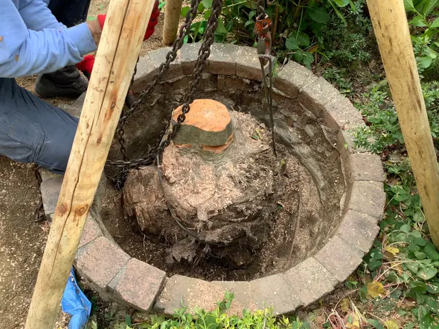 【明るく風通しの良いお庭へ】業界歴40年の庭師と店長の2人で丁寧に仕上げます。サービスの画像