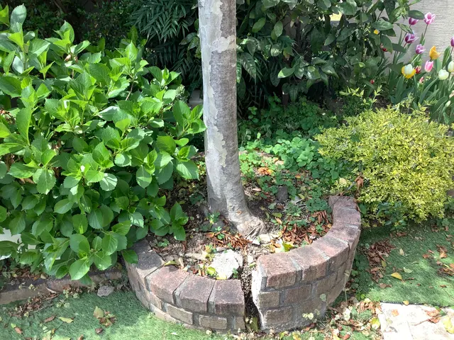 【明るく風通しの良いお庭へ】業界歴40年の庭師と店長の2人で丁寧に仕上げます。サービスの画像