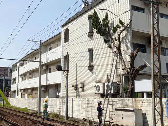 【明るく風通しの良いお庭へ】業界歴40年の庭師と店長の2人で丁寧に仕上げます。サービスの画像