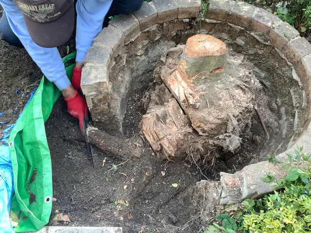 【明るく風通しの良いお庭へ】業界歴40年の庭師と店長の2人で丁寧に仕上げます。サービスの画像