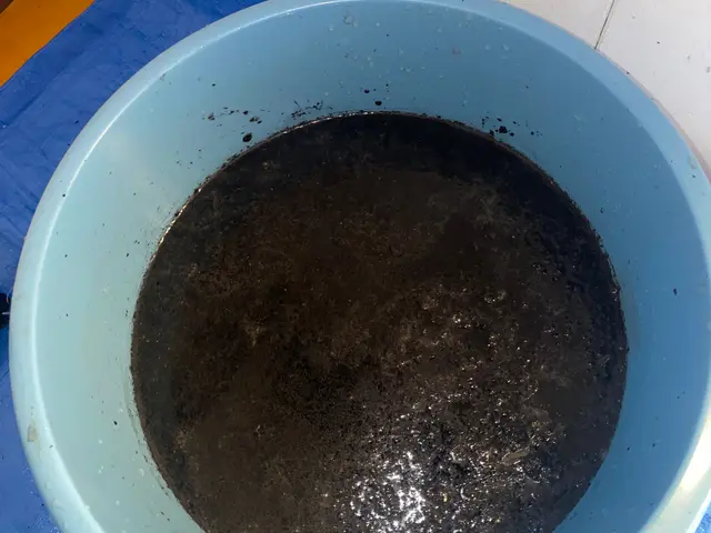 ☆快適☆清潔☆綺麗　エアコンクリーニングサービスの画像