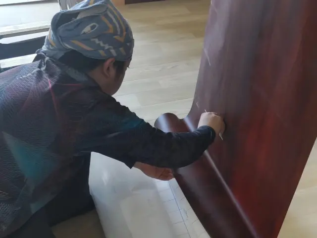 扉の模様替え！サービスの画像