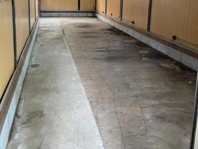 【追加料金なし】ご予約前に写真で事前にお見積もり！当日の急なご依頼にも即対応！サービスの画像