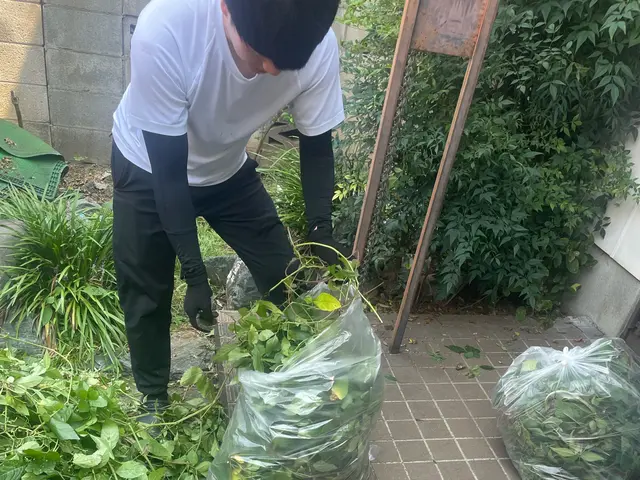 10/23.24空きあり！◆草むしりもセット可能◆理想のお庭作り手伝います！サービスの画像