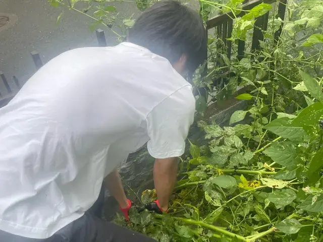 10/23.24空きあり！◆草むしりもセット可能◆理想のお庭作り手伝います！サービスの画像