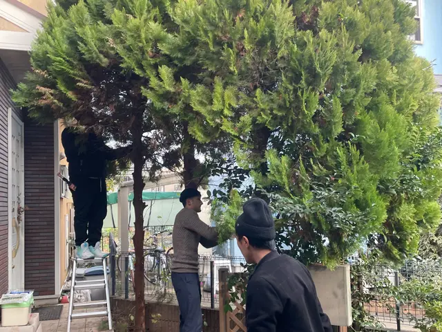 10/23.24空きあり！◆草むしりもセット可能◆理想のお庭作り手伝います！サービスの画像