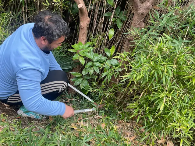 10/23.24空きあり！◆草むしりもセット可能◆理想のお庭作り手伝います！サービスの画像