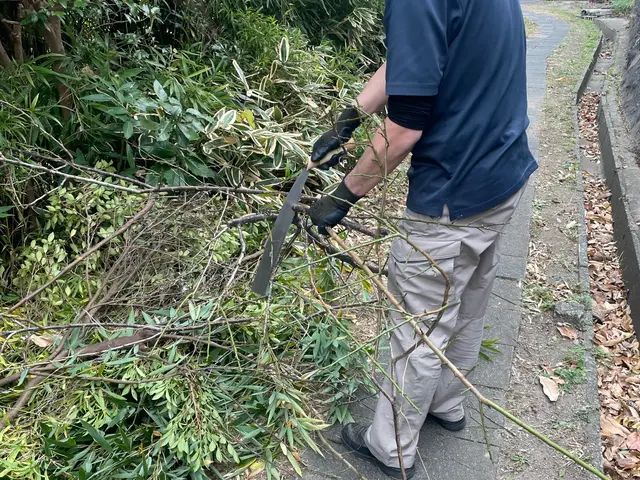 10/23.24空きあり！◆草むしりもセット可能◆理想のお庭作り手伝います！サービスの画像