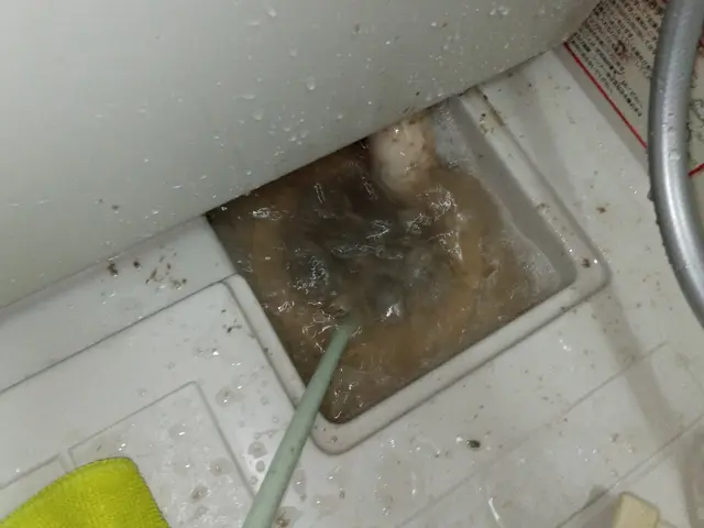 【作業実績1000件以上】年中無休！駐車代お店負担！安心の損害保険加入！サービスの画像