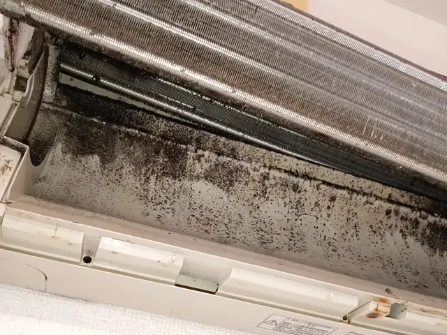 【エアコンは分解しないとキレイになりません】リピ続出！電気工事士が伺います。サービスの画像