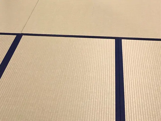 ◆表替え　熊本産糸Ｗ表（畳表１山の中に綿糸が２×2合計４本入っています。）サービスの画像