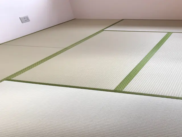 ◆表替え　熊本産糸Ｗ表（畳表１山の中に綿糸が２×2合計４本入っています。）サービスの画像