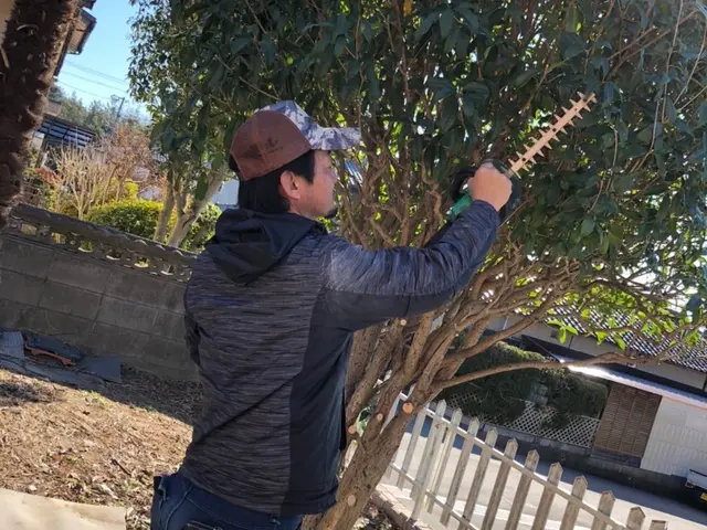 (アワード2024剪定部門入選！)お客様のご要望に寄り添います！地域密着で安心☆サービスの画像