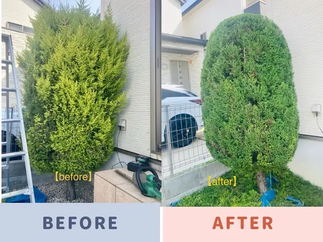 (アワード2024剪定部門入選！)お客様のご要望に寄り添います！地域密着で安心☆サービスの画像