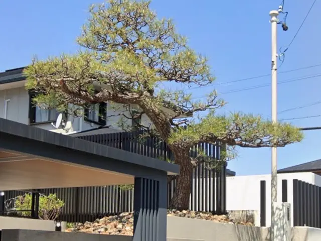 【地域密着】実家・空き家のお庭も安心。庭木が多いお庭の剪定もお任せください！サービスの画像