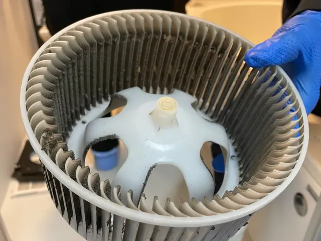 超お得☆【地域最安値挑戦中！】☆口コミにて過去のお声ご覧になれます！サービスの画像