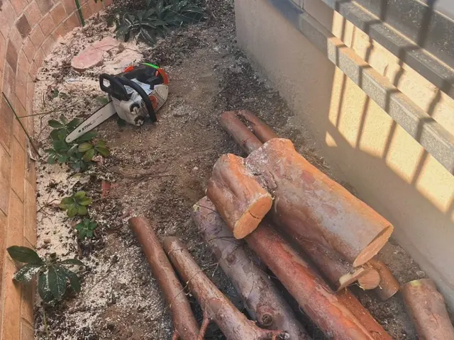 【群馬県の植木屋】豊富な経験を持つプロの庭師がご相談から作業まですべて行います！サービスの画像