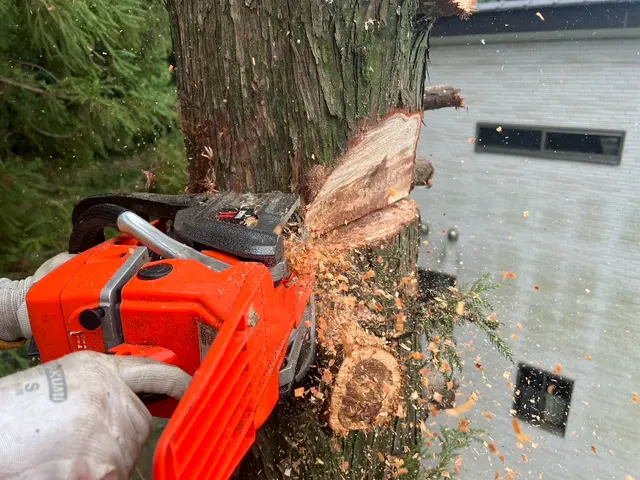 【群馬県の植木屋】豊富な経験を持つプロの庭師がご相談から作業まですべて行います！サービスの画像