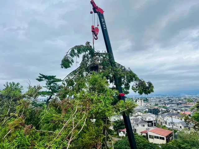 【群馬県の植木屋】豊富な経験を持つプロの庭師がご相談から作業まですべて行います！サービスの画像