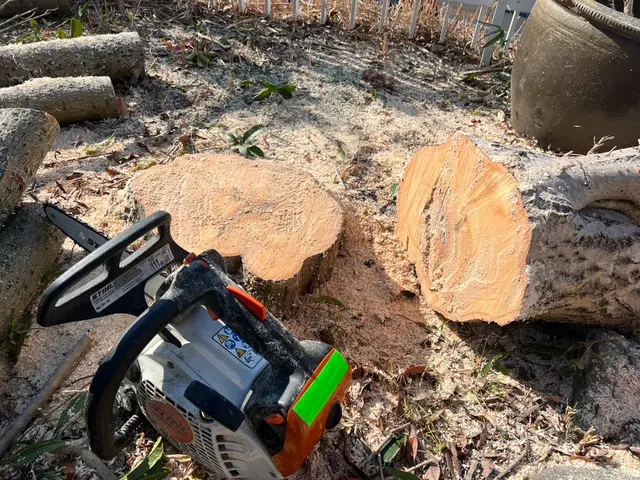 【群馬県の植木屋】豊富な経験を持つプロの庭師がご相談から作業まですべて行います！サービスの画像