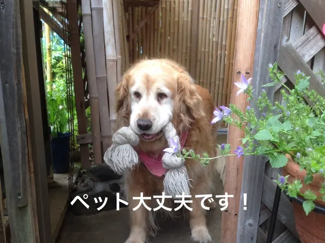 ☆天井埋め込みエアコン専門☆   自宅埋込　接骨院等☆実績あり☆ インボイス対応サービスの画像