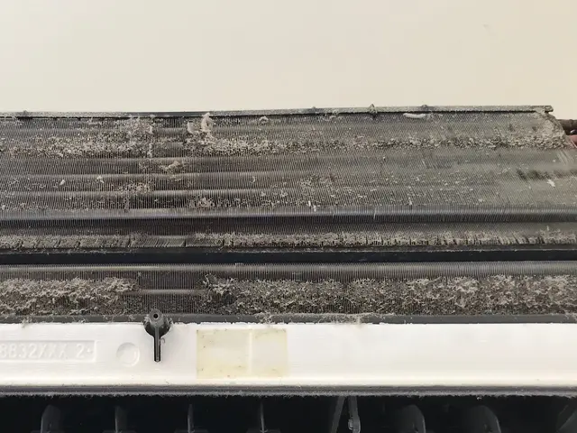 【徹底除菌】赤ちゃんやペットも安心安全な洗剤です。なんでもご相談下さい！サービスの画像