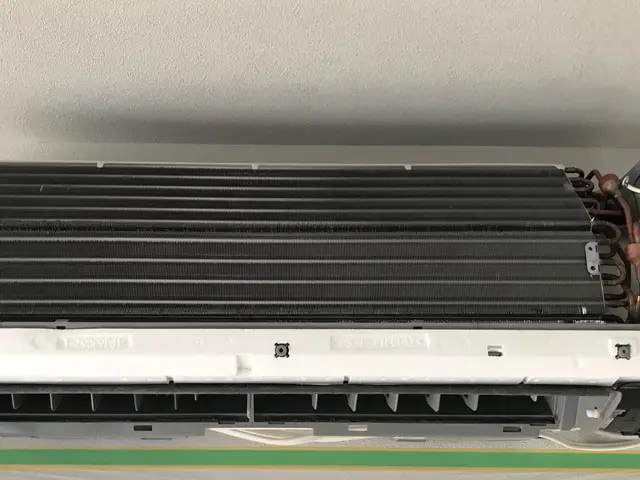 【徹底除菌】赤ちゃんやペットも安心安全な洗剤です。なんでもご相談下さい！サービスの画像