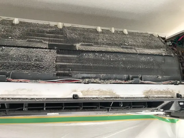 【徹底除菌】赤ちゃんやペットも安心安全な洗剤です。なんでもご相談下さい！サービスの画像