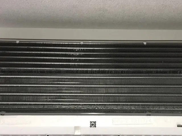 【徹底除菌】赤ちゃんやペットも安心安全な洗剤です。なんでもご相談下さい！サービスの画像