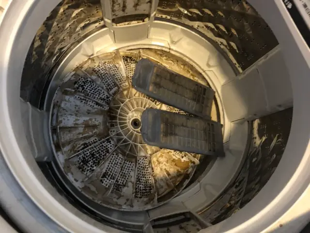 分解洗浄。縦型の洗濯機クリーニング！乾燥機付きは+11,000です。サービスの画像