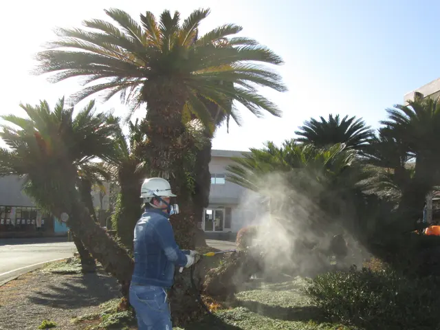 【業歴15年の経験と実績】女性スタッフ同行可能・アフターフォローもばっちり！サービスの画像