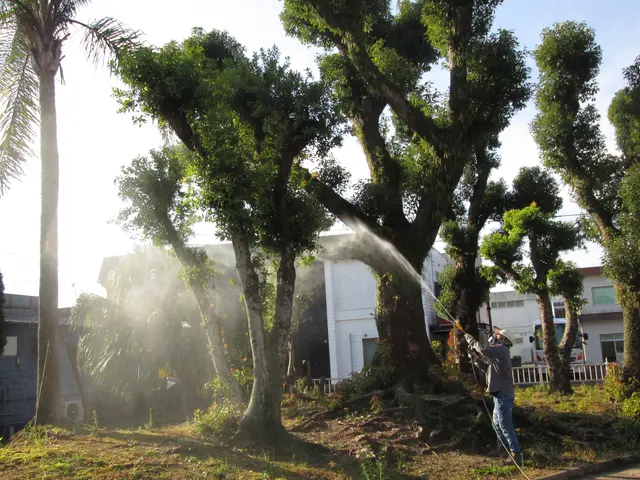 【業歴15年の経験と実績】女性スタッフ同行可能・アフターフォローもばっちり！サービスの画像